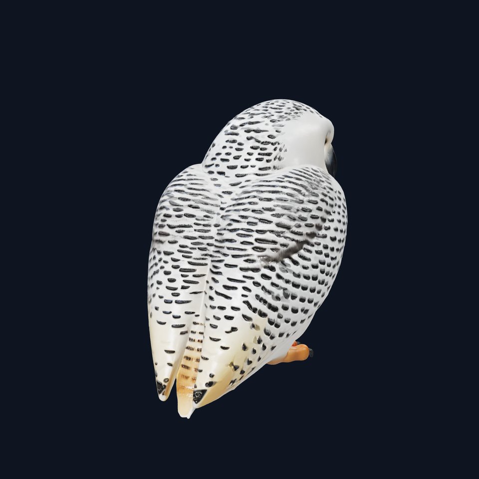 Snowy Owl Model Pack with Detailed Textures and LOD